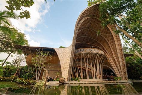  The Sustainable Bamboo Building: Unlocking Nature's Potential for Architectural Innovation!